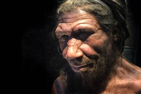 Though the differences between Neanderthals and Homo sapiens may seem pronounced, scientists didn't always embrace the idea that humans evolved from other species.