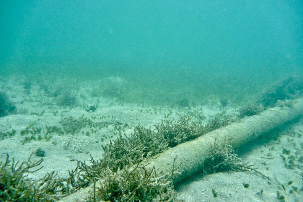 underwater cable