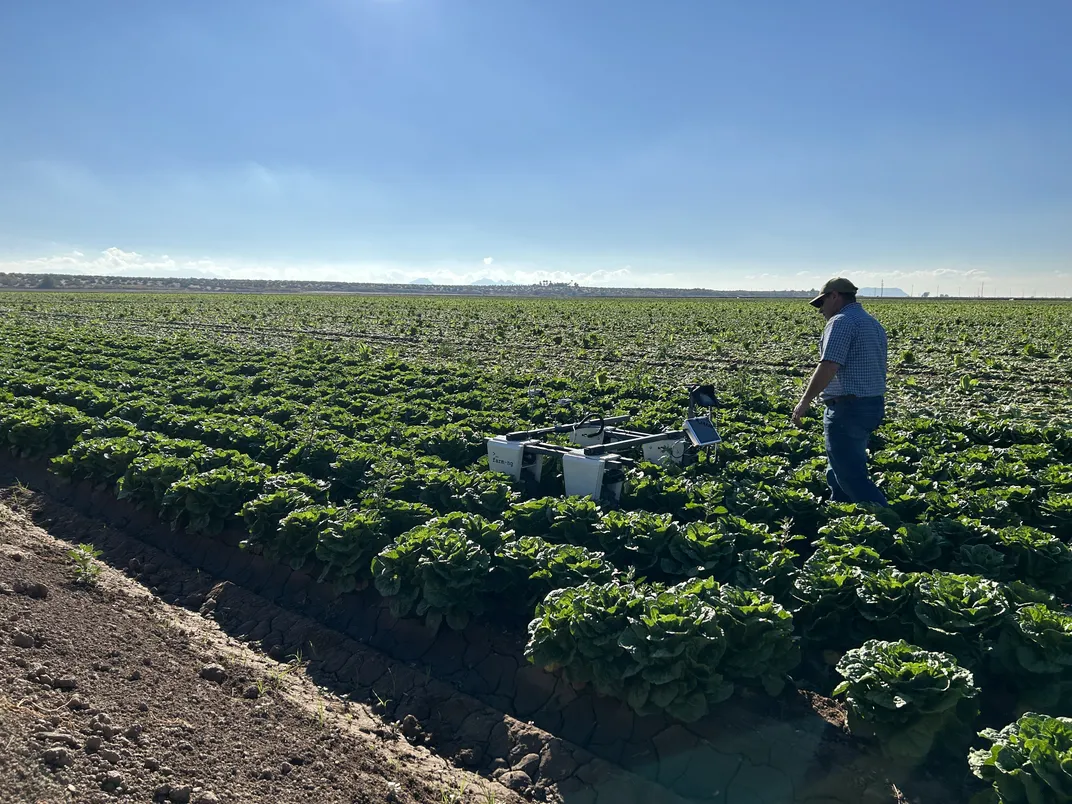 Axis Ag uses visual data capture on a lettuce crop