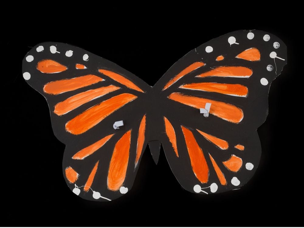 DACA monarch butterfly sign