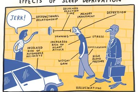 Hamblin's new book uses illustrations to help explain how the human body works—and sometimes doesn't work.