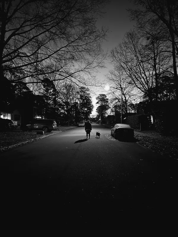 Out for a Walk thumbnail