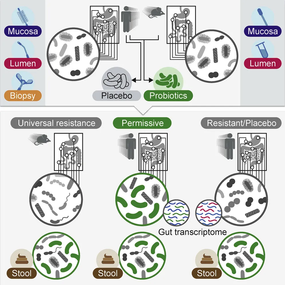 Microbiome