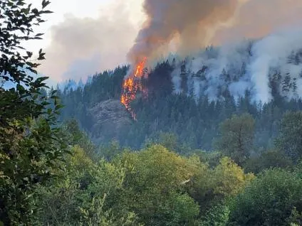 The Maple Fire