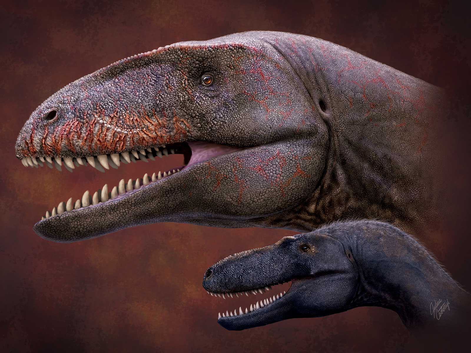 tyrannosaurus size comparison