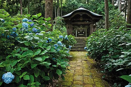 Though the crows at the Buddhist Gesshoji temple are very loud, something about its gardens, famous for their 30,000 blue hydrangeas, causes visitors to whisper.