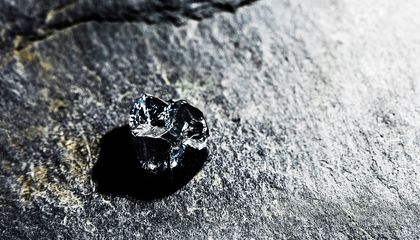 Do These Fossilized Teeth Belong to the World&rsquo;s Smallest Great Ape?
