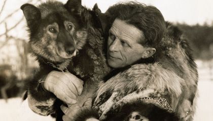 This Heroic Dog Raced Across the Frozen Alaskan Wilderness to Deliver Life-Saving Medicine—but His image