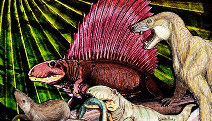 How to Make a Mammal in Nine Evolutionary Steps