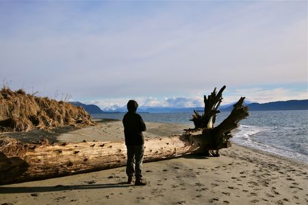 A beach in Juneau, Alaska. Sea levels in Alaska are not rising, but dropping precipitously due to a phenomenon known as glacial isostatic adjustment.