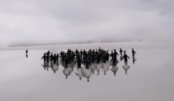 Reflection gathering thumbnail