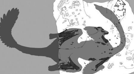 A silhouette of the dinosaur Nemegtomaia barsboldi, indicating the dinosaur's bones and the nest it was sitting on. Much of the skeleton was lost to beetles.