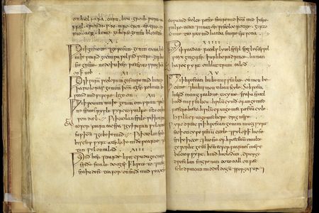 Bald's Leechbook, a tenth-century medical text that contains Anglo-Saxon medical advice and recipes for medicines, salves and treatments