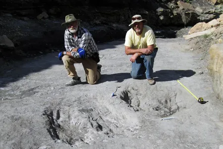 University of Colorado Denver researcher Martin Lockley (right) and Ken Cart pose beside large a dinosaur scrape they discovered in Western Colorado.