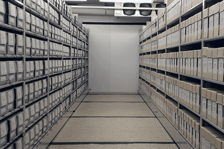Archival Career Advice (1).gif