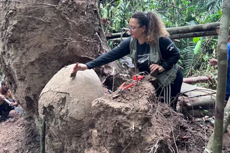 Archaeologist Ge&oacute;rgea Layla Holanda examines a funerary urn found beneath a tree in the Brazilian Amazon.