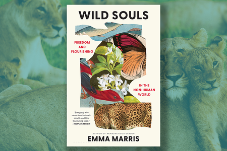 wild souls.png