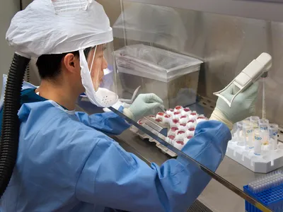 A CDC scientist harvests H7N9 virus that has been grown for sharing with partner laboratories for research purposes.