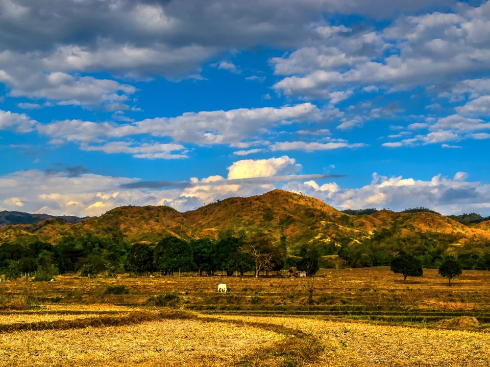 Its mountains. Национальный парк Baluran. Горы Рувензори. Лунные горы Рувензори. Куин Саванна парк.