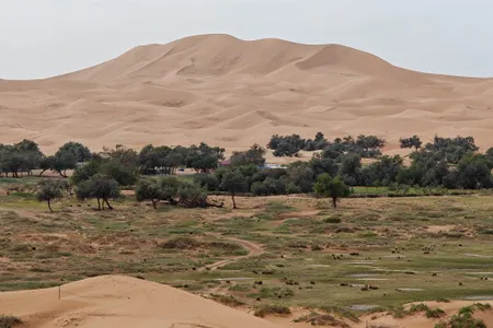 Warming spurred by Earth&#39;s next supercontinent could lead to widespread desert conditions, a new modeling study suggests. Pictured is the Tengger Desert in Inner Mongolia, an autonomous region of China.