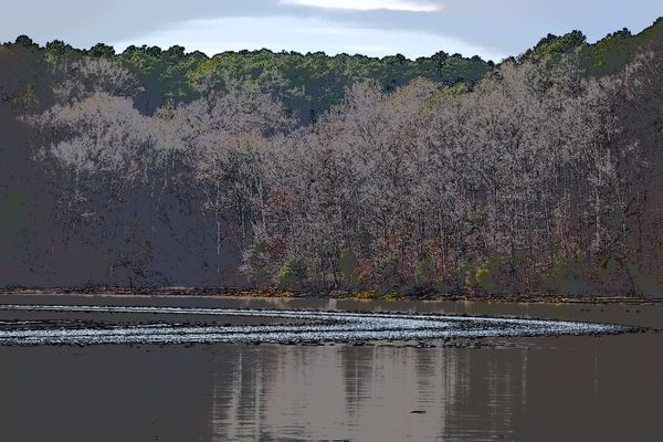 The wake of a boat on Wheeler Lake. thumbnail