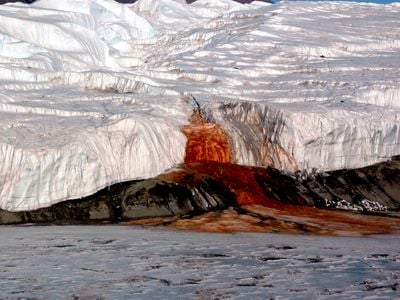 Blood Falls seeps from the end of the Taylor Glacier into Lake Bonney.