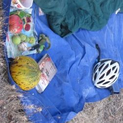 Wild camping