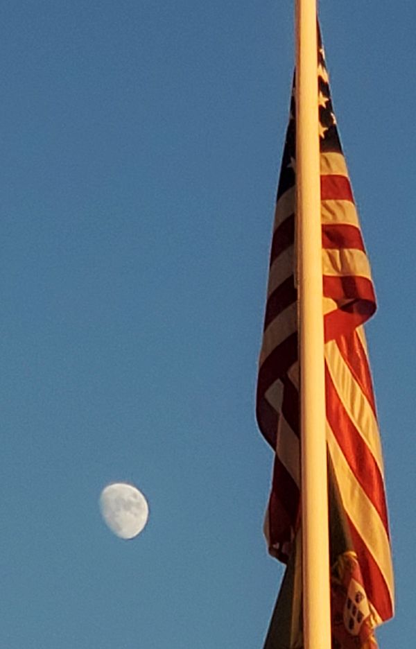 American and Armed Forces Flags  Moon Journey thumbnail