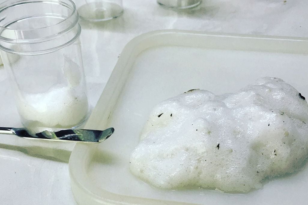 Frog Foam