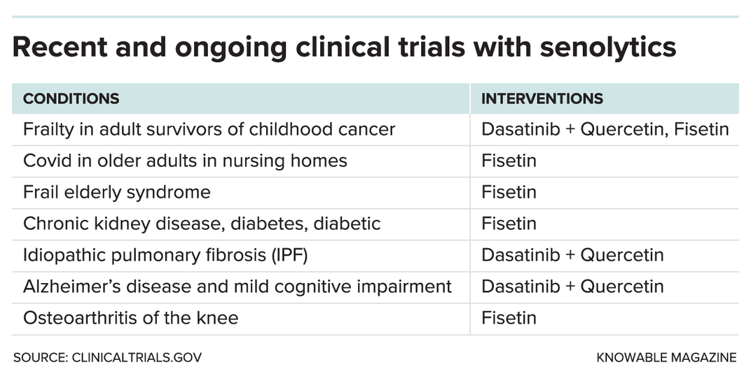 Could Getting Rid of Old Cells Help People Live Disease-Free for Longer?