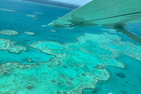 A survey of 1,036 reefs in the Great Barrier Reef over the last two weeks of March revealed the most widespread bleaching event on record.