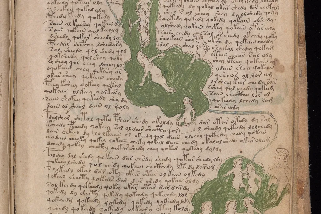 Voynich_Manuscript_(135).jpg