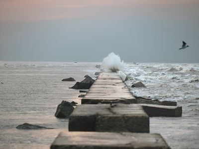 Galveston’s Texas-Size Plan to Stop the Next Big Storm image