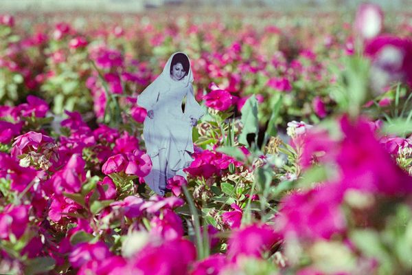 "Natural Form"  Series thumbnail