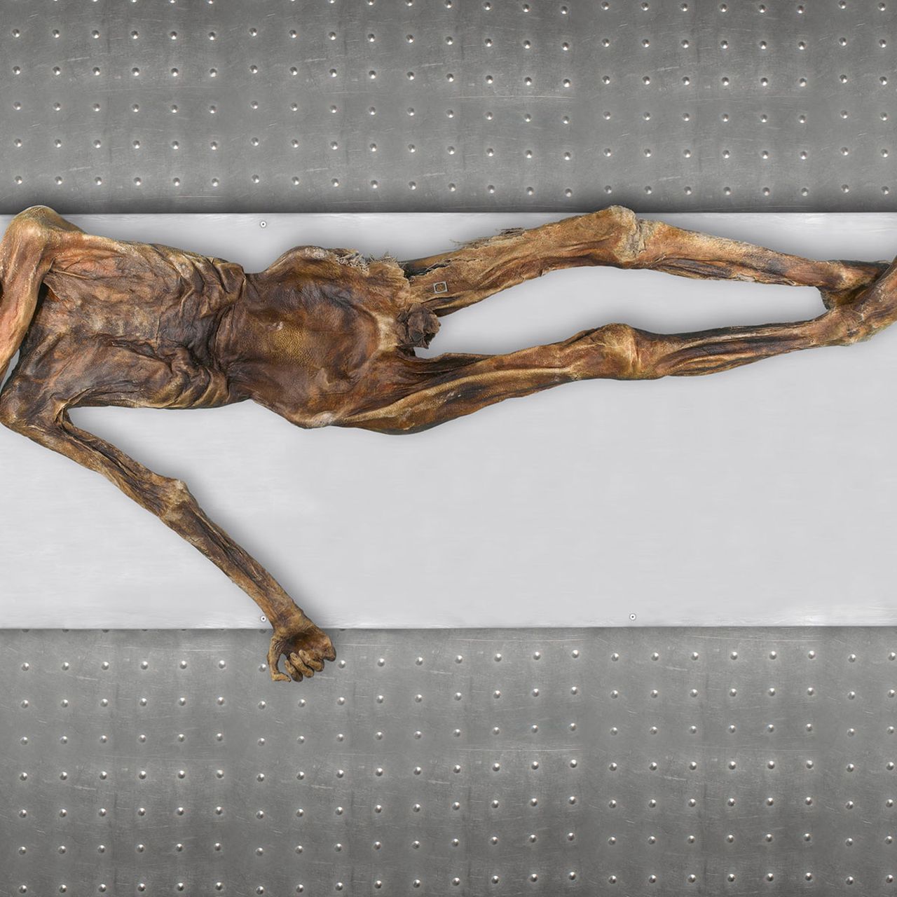 【iceman】 iceman_web.jpg