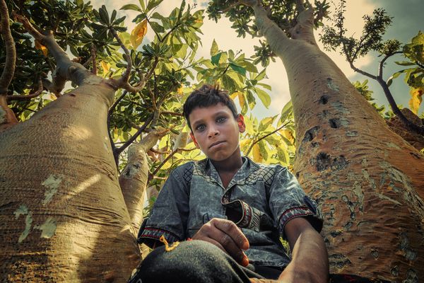 child from Socotra thumbnail