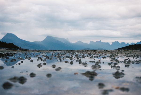 Fjord during ebb tide thumbnail