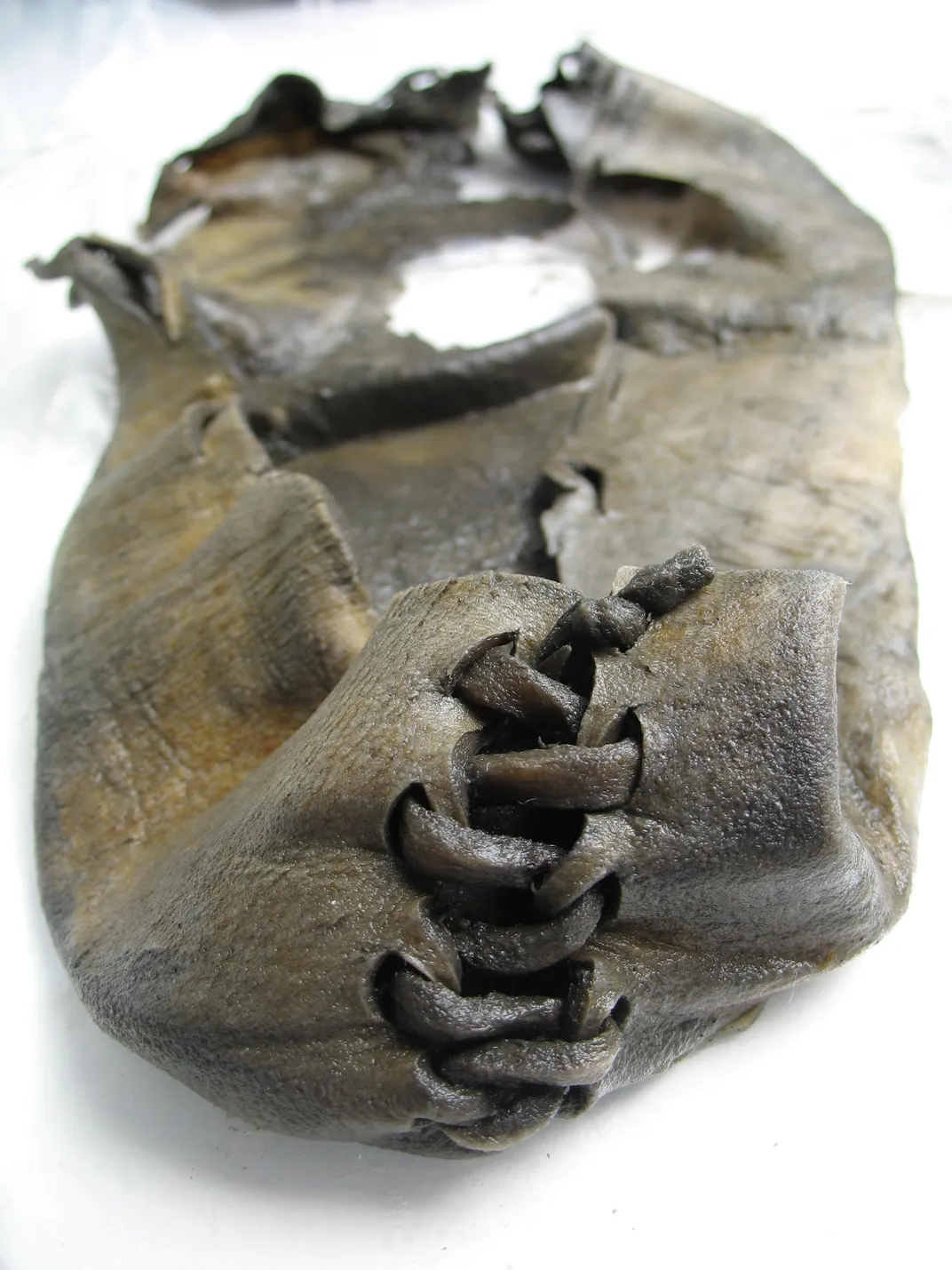 a partially disintegrated brown shoe tied together