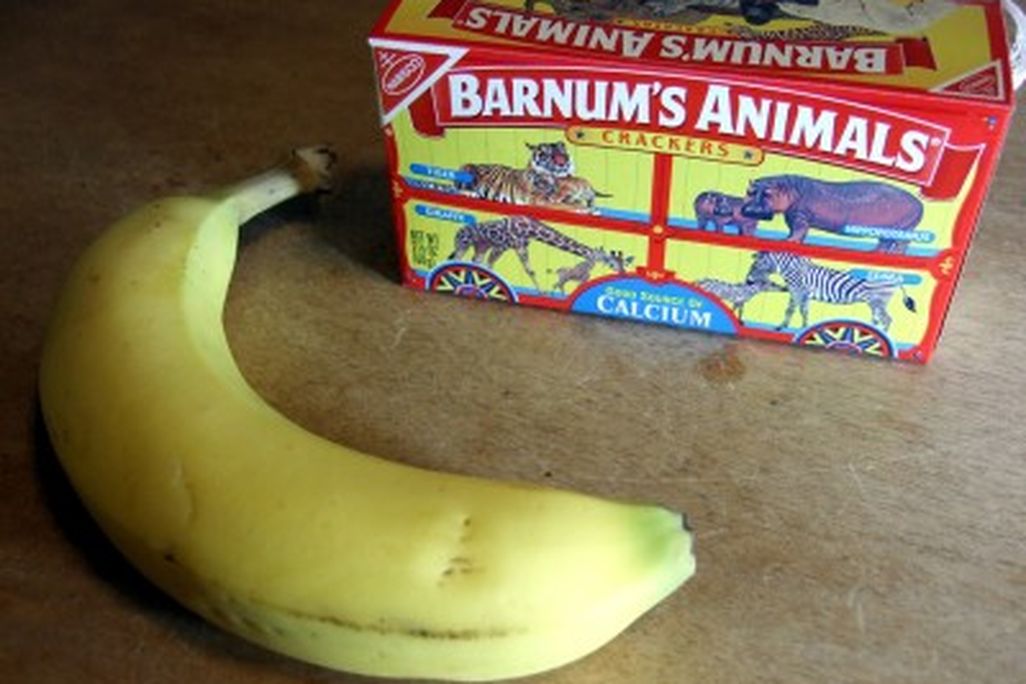 20110520090041animalcrackers-400x300.jpg