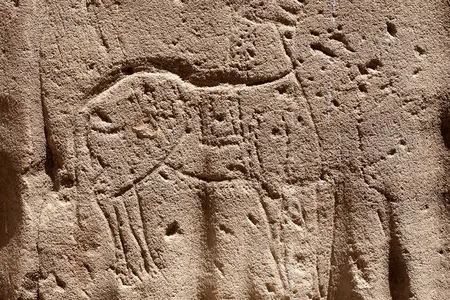 One ancient graffiti artist carved this creature at the Philae temple complex&mdash;most likely a horse.