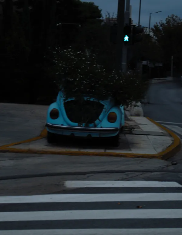 Blooming Beetle thumbnail