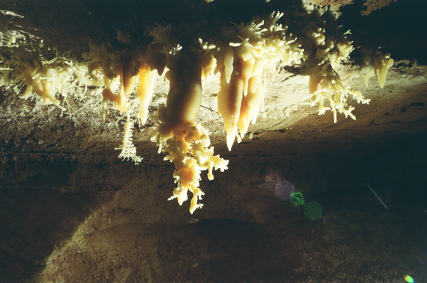 Silent Splendor thumbnail