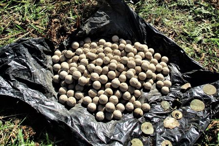 The musket balls arrived in Scotland two weeks after the Jacobites' defeat at Culloden Moor.