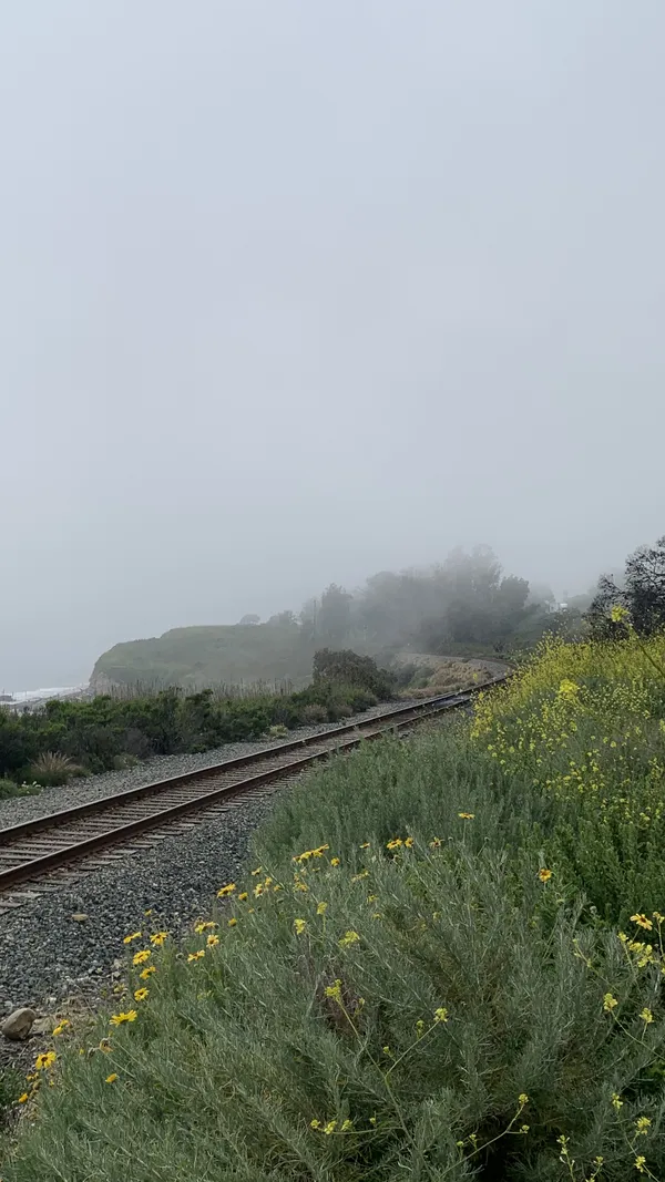 Fog and Freedom thumbnail