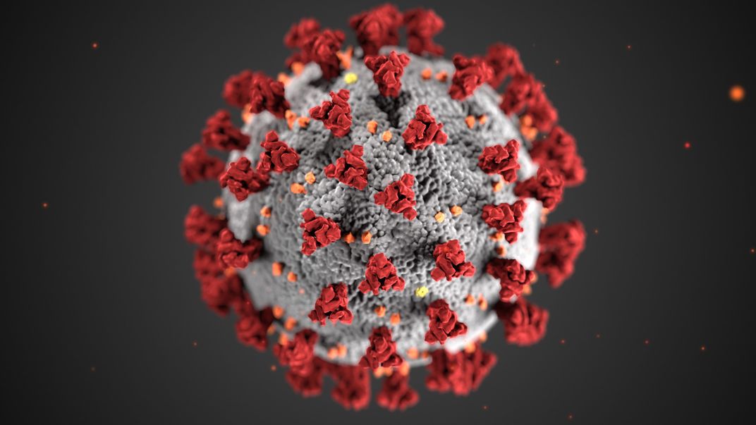 A microsopic image of a virus.