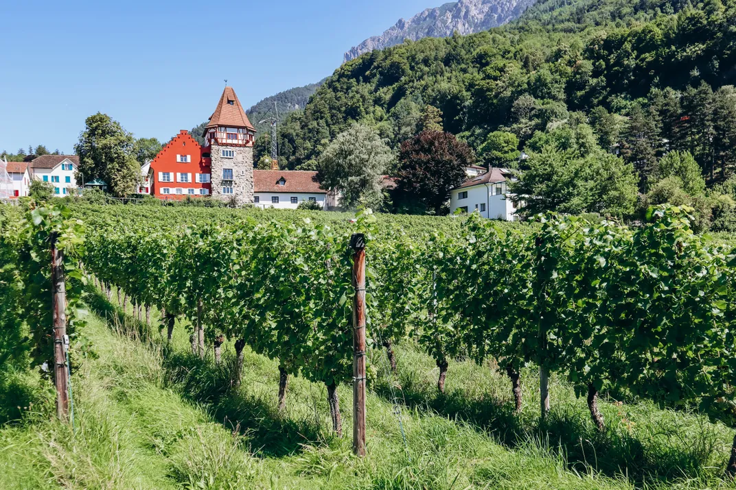 Vineyards at Das Rote Haus, considered the oldest building in Liechtenstein