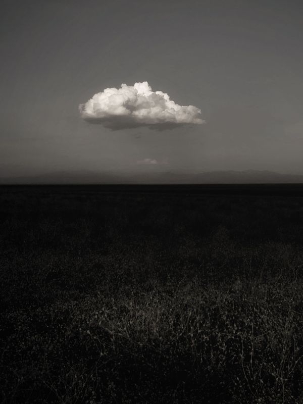 white, weightless, and out of reach. thumbnail