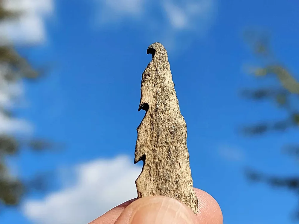 Human Bone Carved Into a Barbed Point