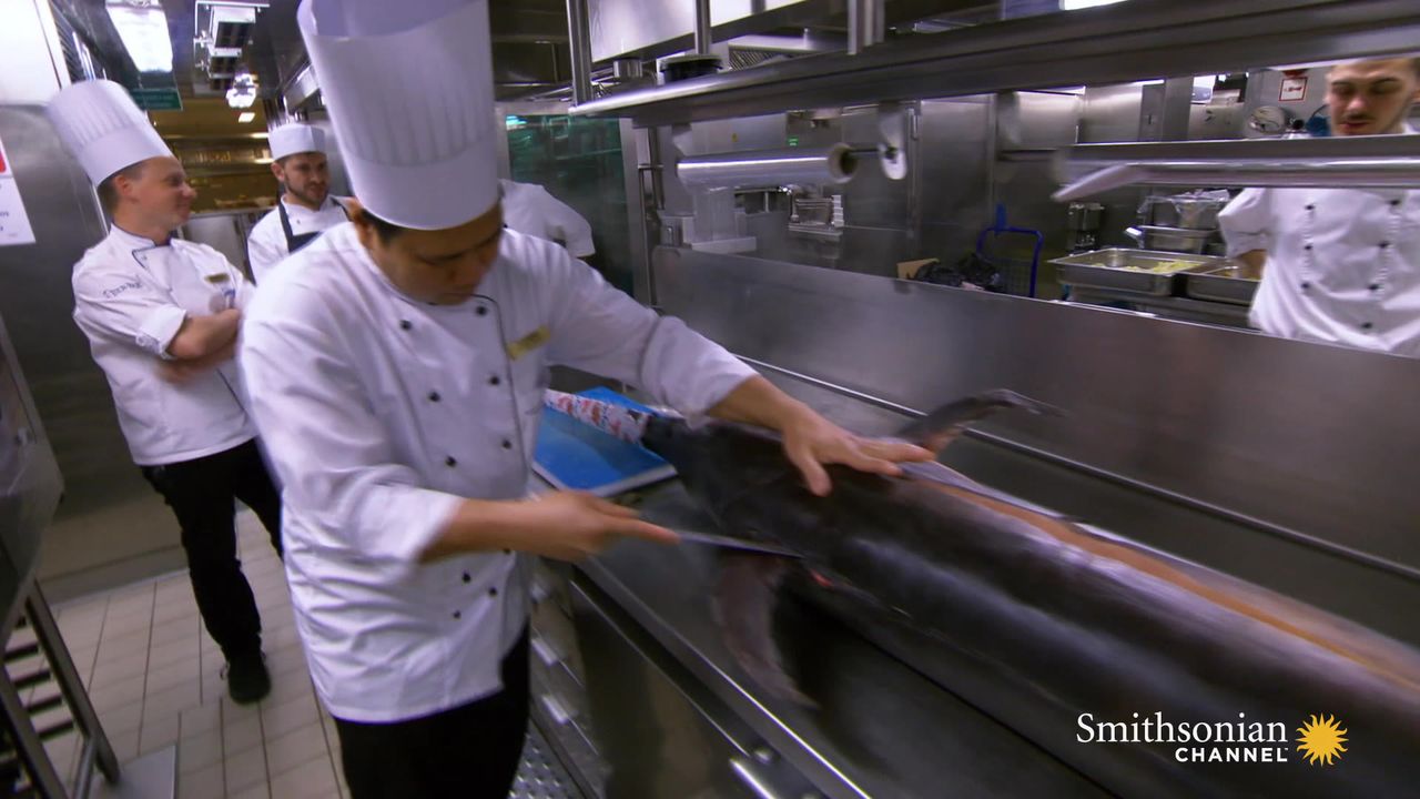 Preview thumbnail for A Cruise Ship Chef Hunts for Big Fish. Will He Succeed?