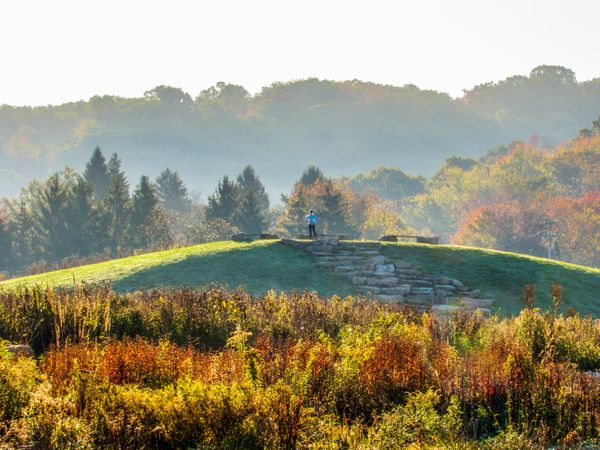 A view of the Meadow, North Park thumbnail